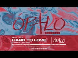 CLEIDO, Dillan Desai - Hard To Love