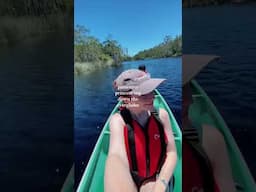 passenger princess down the noosa everglades #australia #aussietraveller