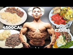 FULL DAY OF EATING (4,452 Calories, 850g Carbs) || Tristyn Lee Mock Peak