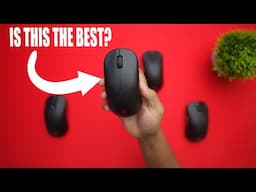 BEST ZOWIE SHAPE FOR YOU? DW Series Edition.. FK2, S2, U2, ZA13