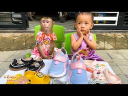 Monkey Kaka and Diem monkey opened a shoe store that looks so cute