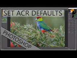 Adobe Camera Raw - New Way to Setup Defaults