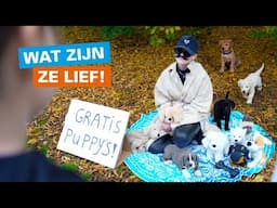 🎬 Puppy's te koop! 🐾 🐶  - UNICEF Kinderrechten Filmfestival