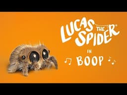 Lucas the Spider I Boop!