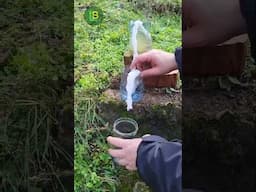 Kako prečistiti vodu u prirodi i učiniti je pitkom #survival #camping #lifehacks