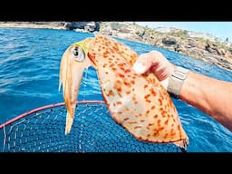 We Caught The Big Ones! Giant Squid CATCH And COOK