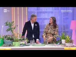 🪴Potatura e cura delle piante e delle orchidee in inverno - Lucia Cuffaro e Beppe Convertini