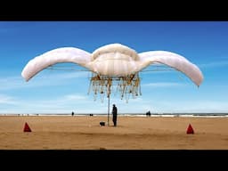 34 Años de Evolución de las Strandbeest