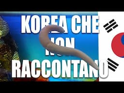 LA KOREA CHE NON RACCONTANO 🇰🇷