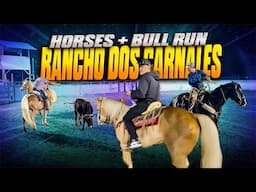 Puro Rancho FREDDYLSX En Caballo🔥🚀