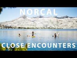 Close Encounters in NorCal | Pacific Crest Trail | Episode 5