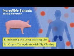 Eliminating the Long Waiting List for Organ Transplants with Pig Cloning by Hiroshi Nagashima