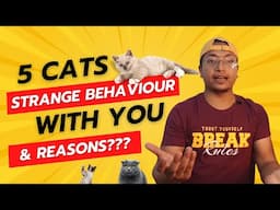 5 Cats Strange Behavior Explained!! in Hindi! Watch this if you have Cat