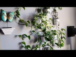 Space Saving Plant Displays