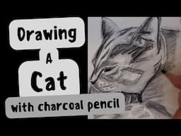 Drawing Cat With Charcoal Pencil