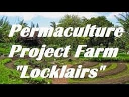 Late Spring Walkabout the #Permaculture Project #farm