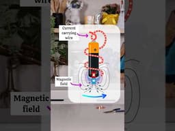 Lorentz Force explanation 💪🏻