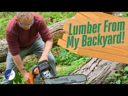 Turning Logs into Lumber with a Chainsaw in My Own Backyard!