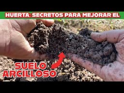 Secretos para arreglar el suelo de tu huerta y como preparar una cama de cultivo paso a paso