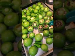 Salsa Verde : Canning a tomatillo harvest