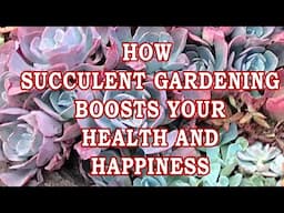 Unlocking Wellness: How Succulent Gardening Boosts Your Health and Happiness