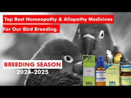 Best Birds Breeding Homeopathy & Allopathy Combination 2024 2025 By@santanubirdscare