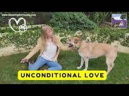 Wendy Dale Young - Unconditional Love: A Musical Tribute to Our Furry Friends"