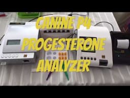 Canine P4 Progesterone Analyzer (786) 724-8761