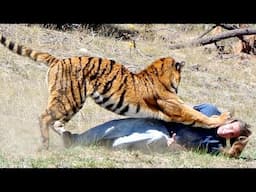 Two Chinese Women Mauled By A Tiger And Lion - Tommy Sotomayor Video