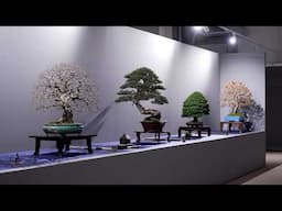 UBE Bonsai Exhibition 2025