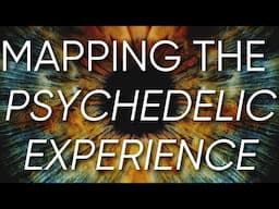 Mapping the Biological Basis of the Psychedelic Experience | Mindstate Design Labs