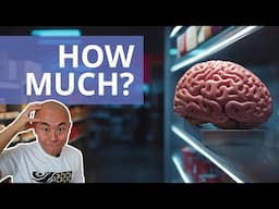 What is the price of your brain? | Hello! Seiiti Arata 375