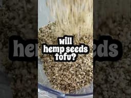 Protein, omega-3's, and a touch of rebellion.  Can hemp seeds make tofu?