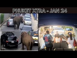 Elephant escapes and roams Phuket streets, Online TM6, Father fatally throws son || Thailand News