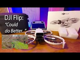 DJI Flip: Active Track, Obstacle Avoidance Test & What's Wrong with this Drone