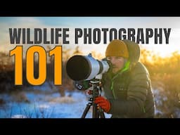 Learn WILDLIFE PHOTOGRAPHY. 5 Tips To INSTANTLY Improve!