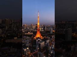 Japan City VS Nature - which is better?