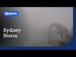 Dozens of rescues as flash flooding hits Sydney in sudden storm | ABC NEWS