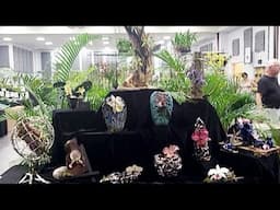 VENICE AREA ORCHID SOCIETY SHOW DISPLAYS, 2025