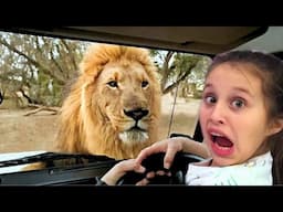 Best FUNNY Videos of 2025 😂😁 | Try Not To Laugh Impossible