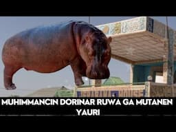 Muhimmancin Dorinar Ruwa ga Tarihi da Al'ummar Yauri