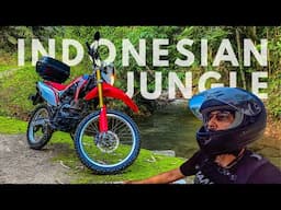 Riding Solo into the Indonesian Jungle