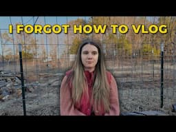 I Forgot How to Vlog (a sit-down chat about staying authentic on youtube)