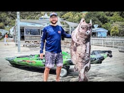 I caught a MONSTER on my kayak | 131LB Grouper