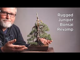 Bonsaify | Repotting Eric's FAVORITE BONSAI Mountain Style Juniper!