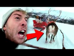 Reindeer ESCAPED While Sledding