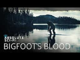 The Mysterious Hunt For Bigfoot