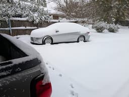 Snow Day 01/21/2025 in S Louisiana