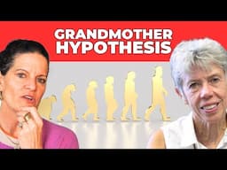 Why Do Humans Have Menopause - Grandmother Hypothesis | Dr. Mindy Pelz with Kristen Hawkes