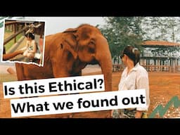 Elephant Sanctuary Experience in Chiang Mai, Thailand / Is this an ethical Elephant Sanctuary?